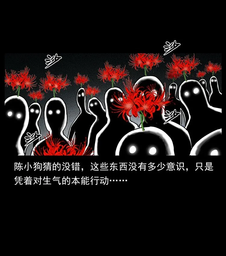 491 硬刚 第14页
