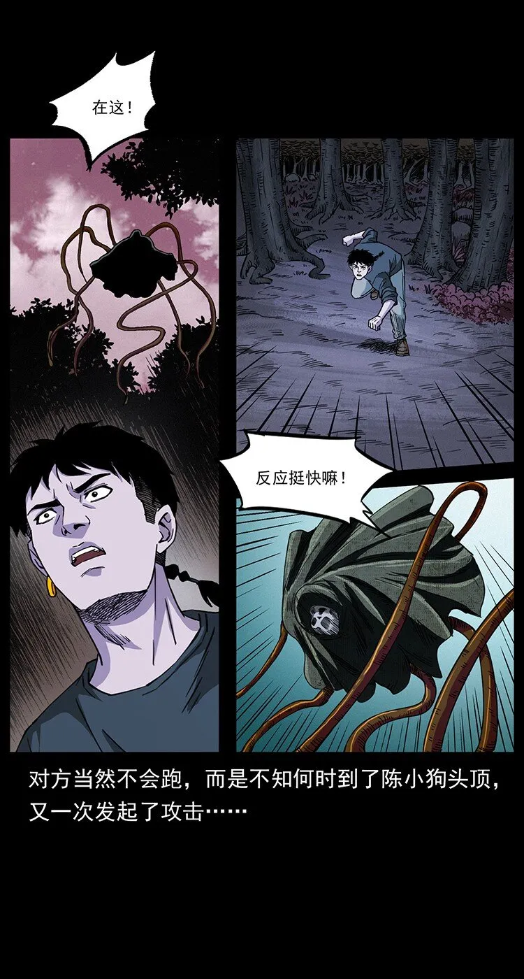 491 硬刚 第31页