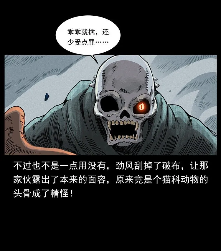 491 硬刚 第48页