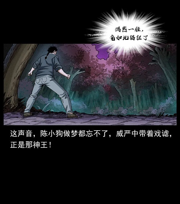 491 硬刚 第71页