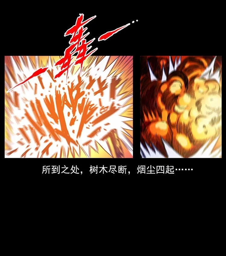 491 硬刚 第77页
