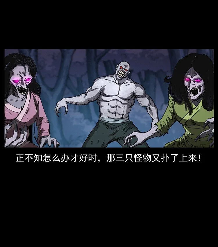 494 极幽之路 第47页