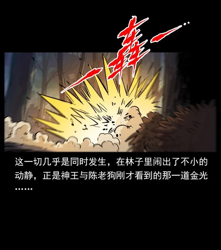 494 极幽之路 第56页
