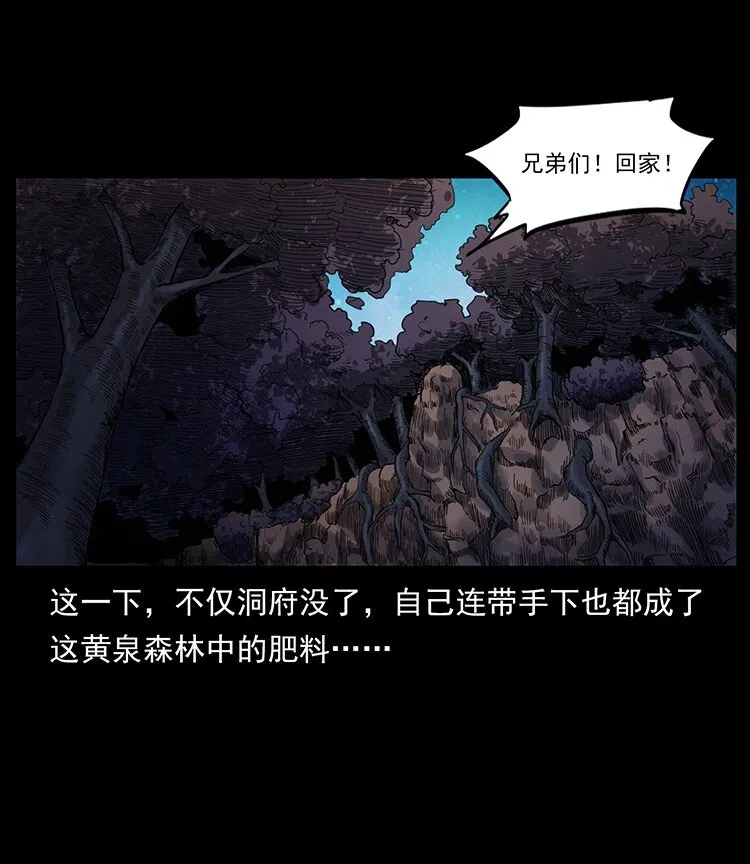 494 极幽之路 第82页