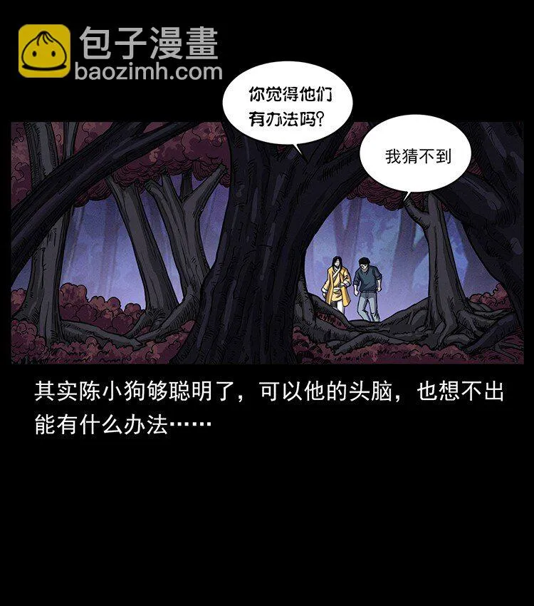 495 计对计 第71页