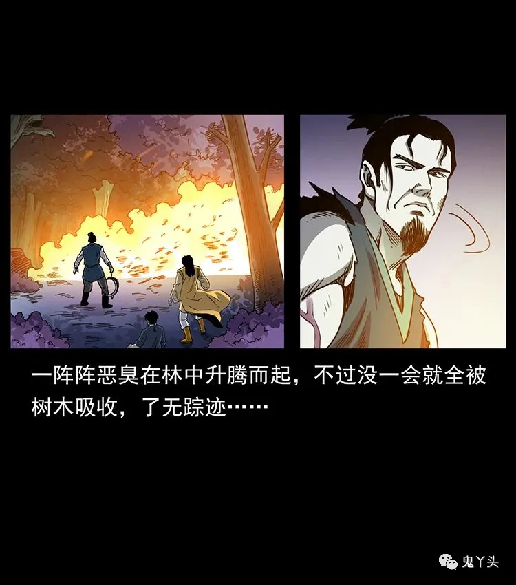 501 来战！ 第54页