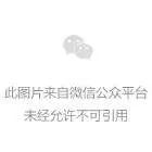505 诸神黄昏（1） 第16页