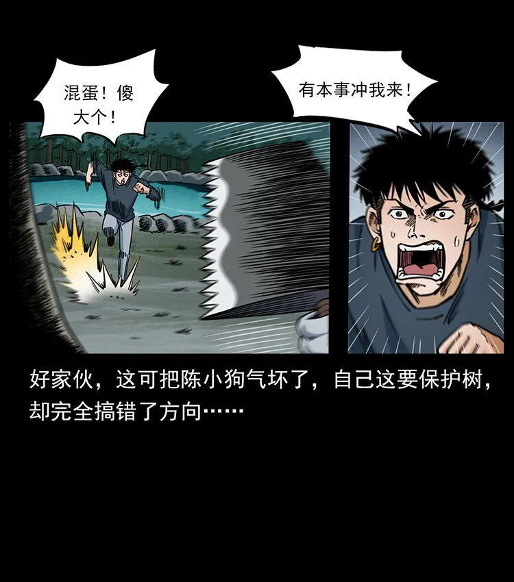 483 伐树 第13页