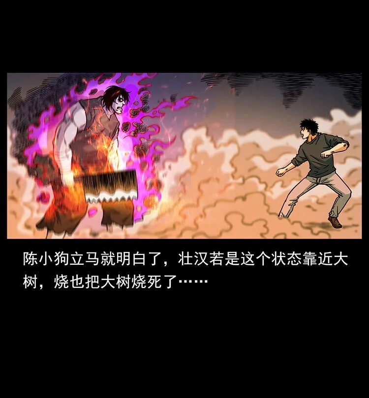 483 伐树 第26页