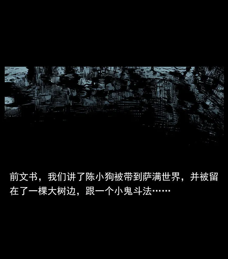 482 以树为启点 第2页