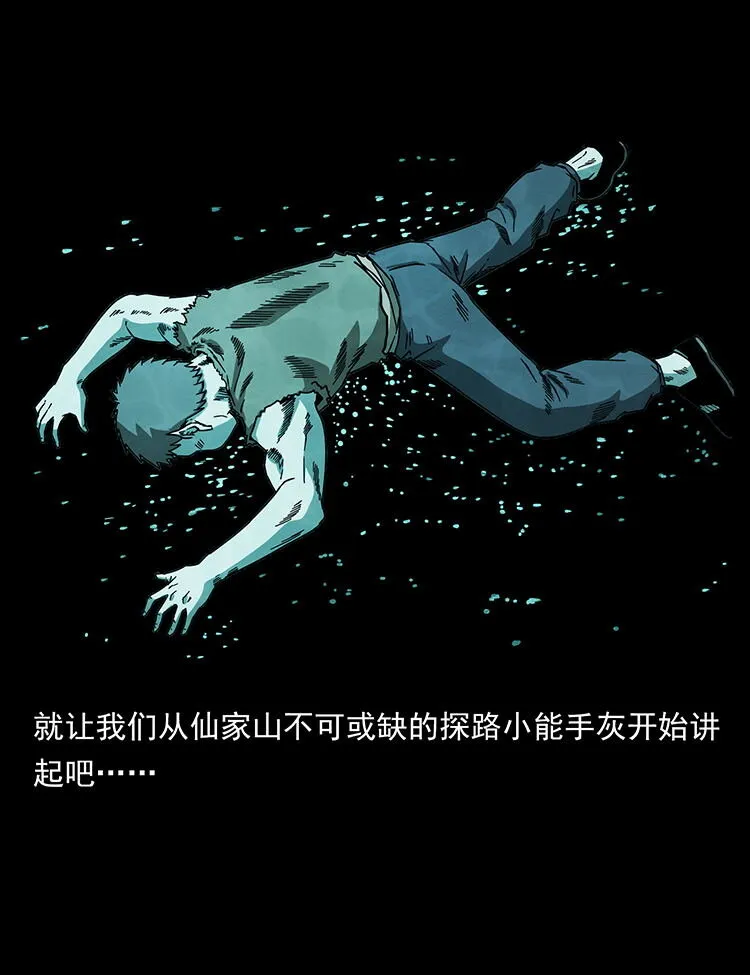482 以树为启点 第4页