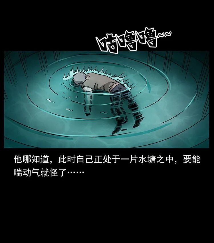 482 以树为启点 第7页