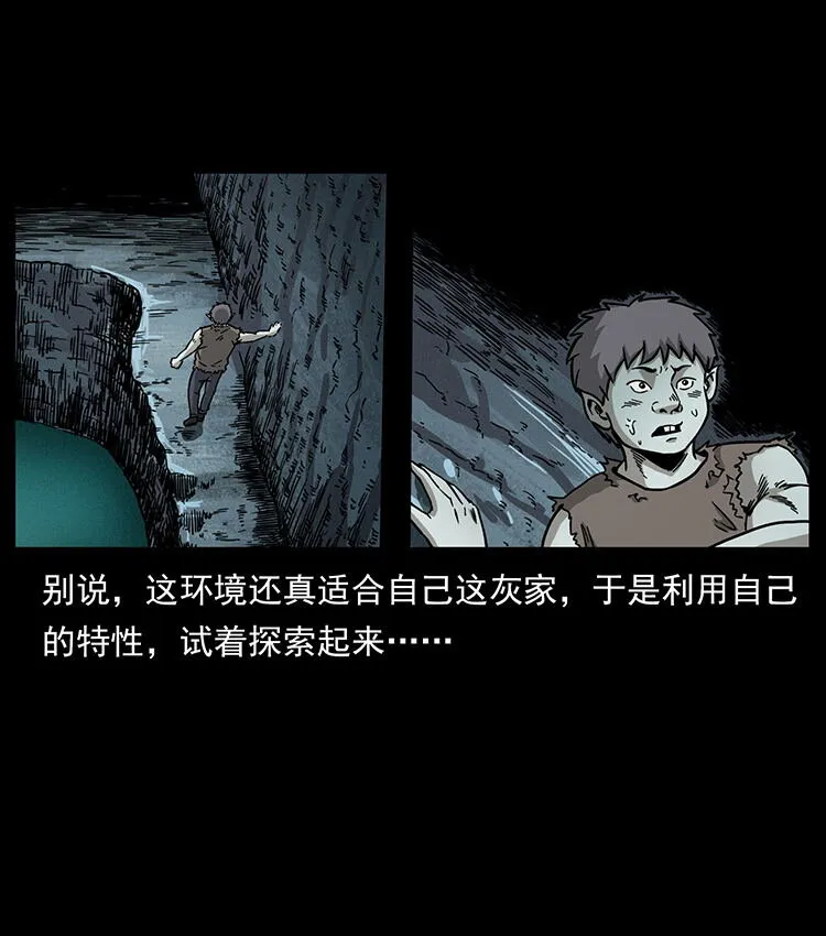 482 以树为启点 第12页