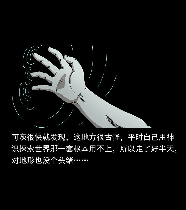 482 以树为启点 第13页