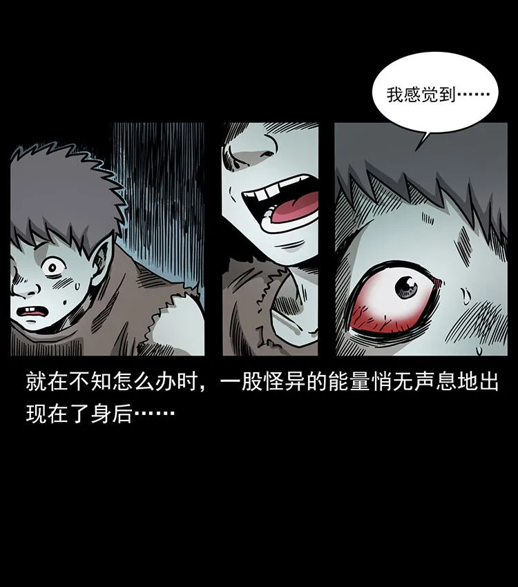 482 以树为启点 第14页