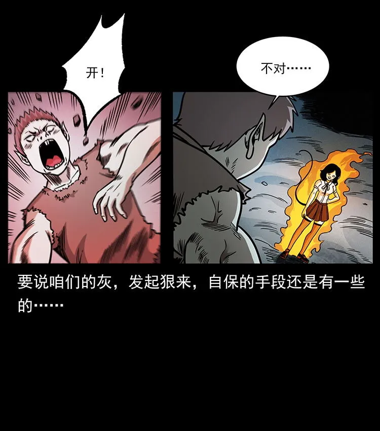 482 以树为启点 第29页