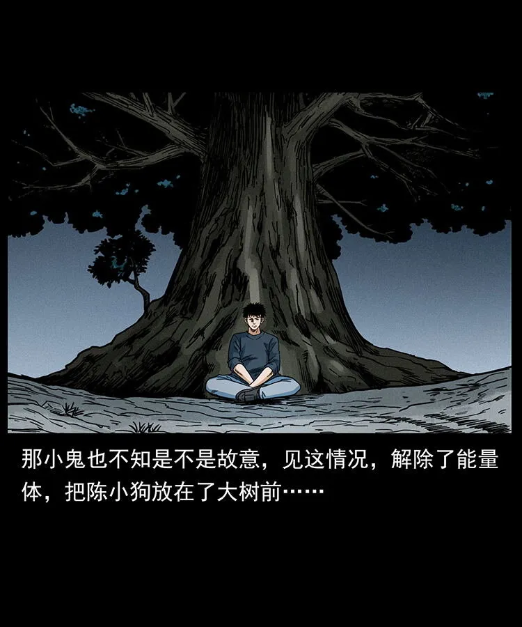 482 以树为启点 第60页