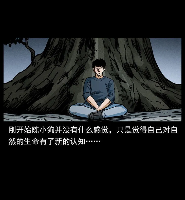 482 以树为启点 第61页
