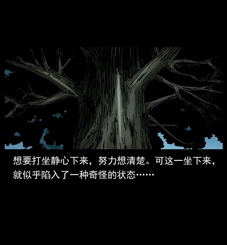 482 以树为启点 第62页