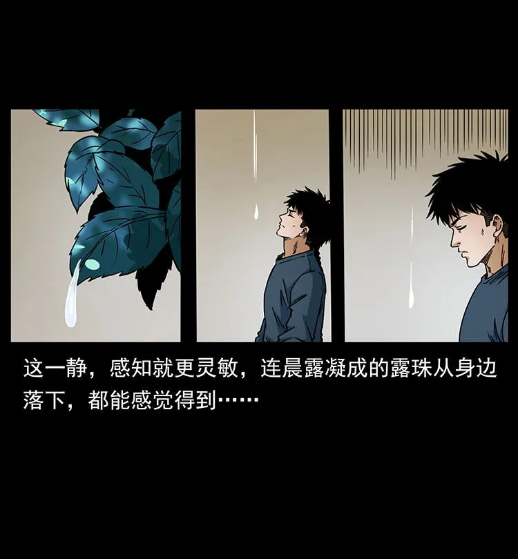 482 以树为启点 第64页