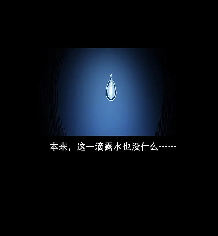 482 以树为启点 第65页