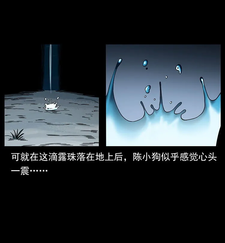 482 以树为启点 第66页