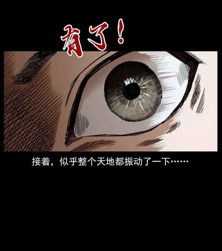 482 以树为启点 第67页