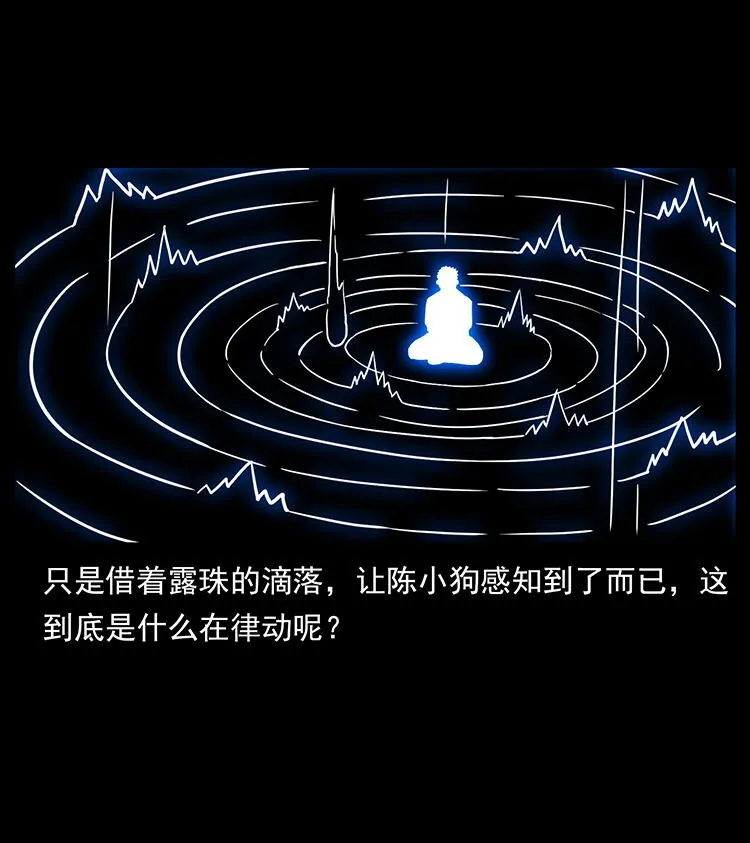 482 以树为启点 第70页