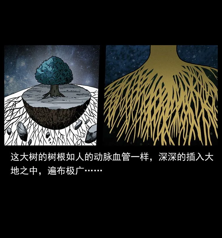 482 以树为启点 第74页