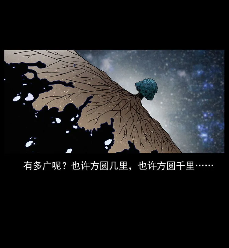 482 以树为启点 第75页