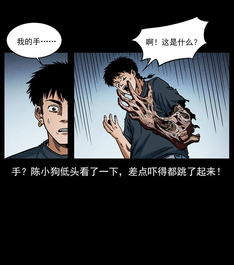 482 以树为启点 第80页