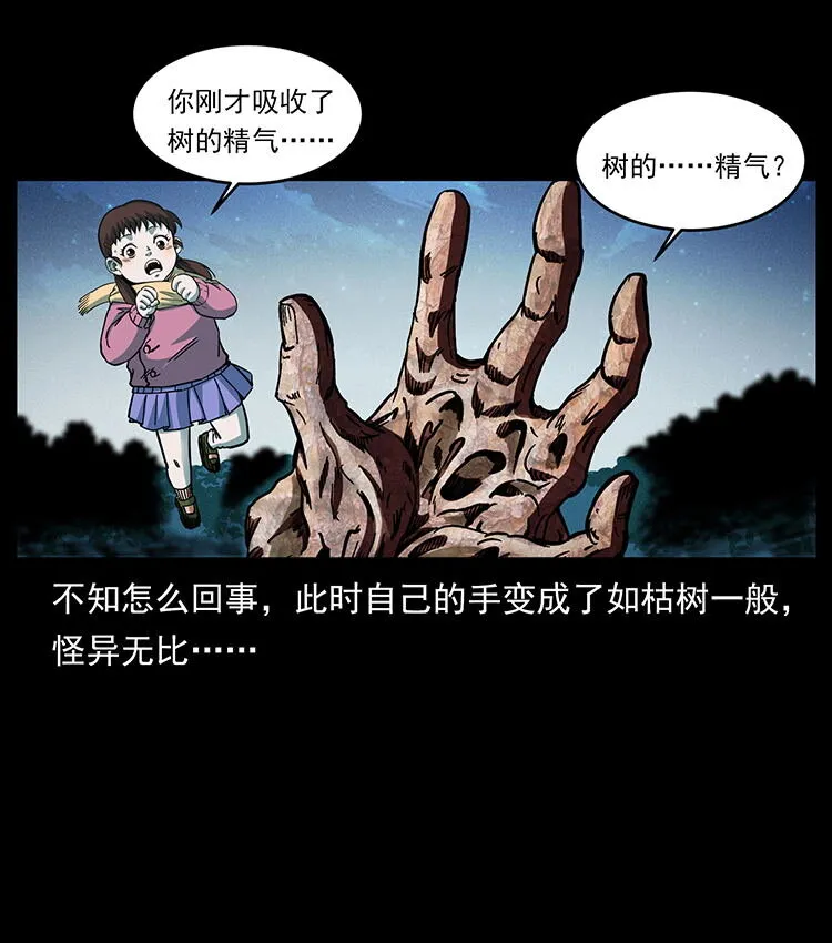 482 以树为启点 第81页