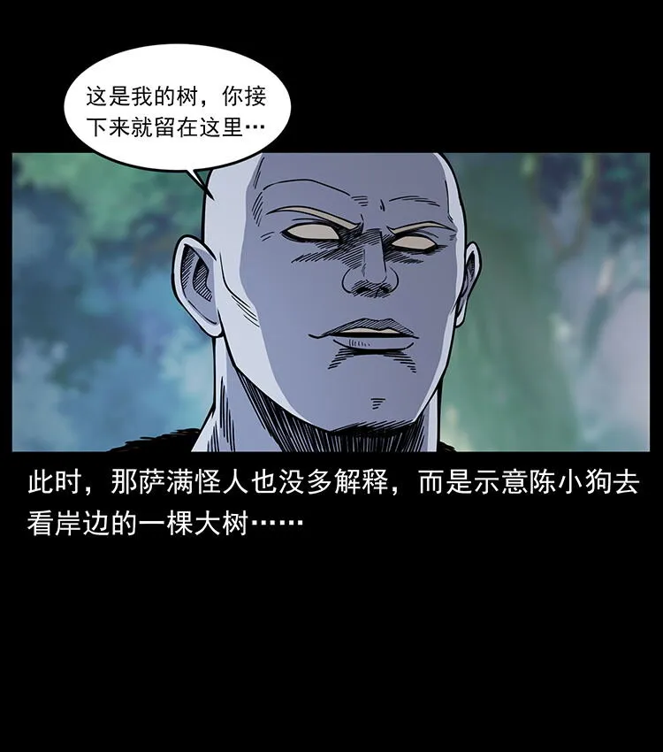 481 树 第17页