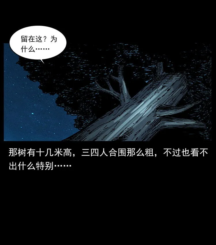481 树 第18页