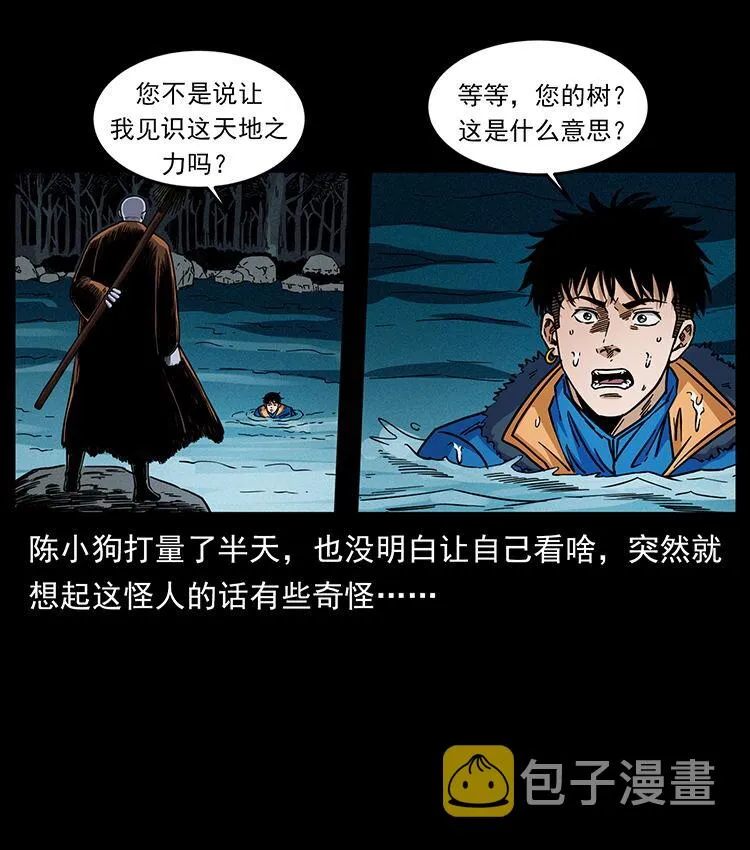 481 树 第19页
