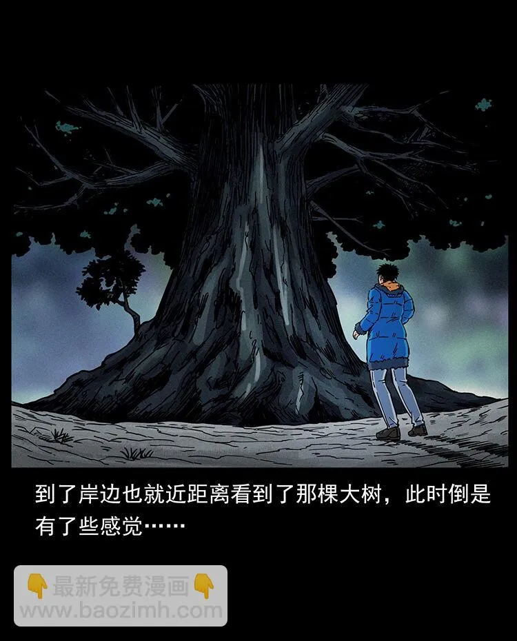 481 树 第30页