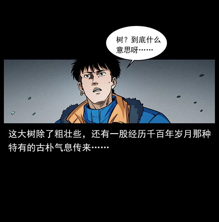 481 树 第31页