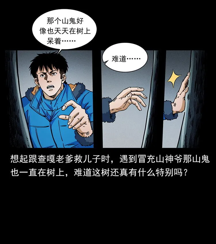 481 树 第32页