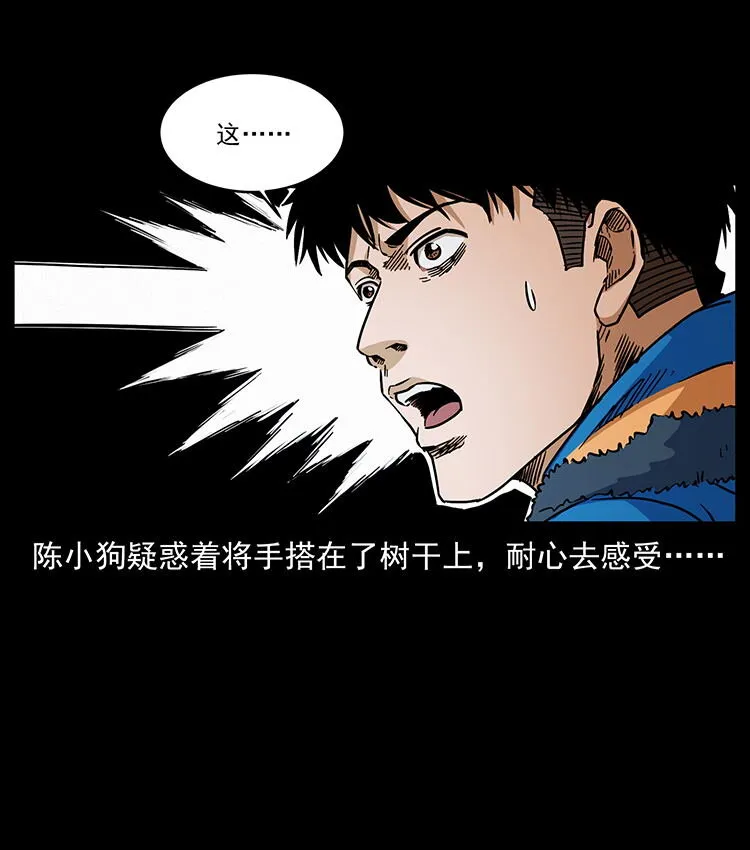 481 树 第33页