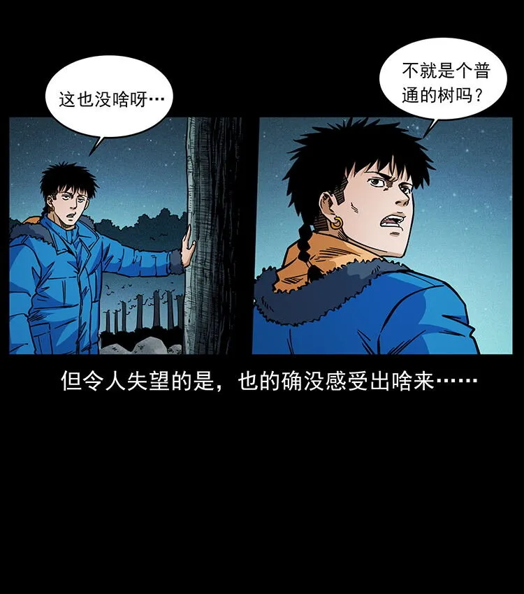 481 树 第34页