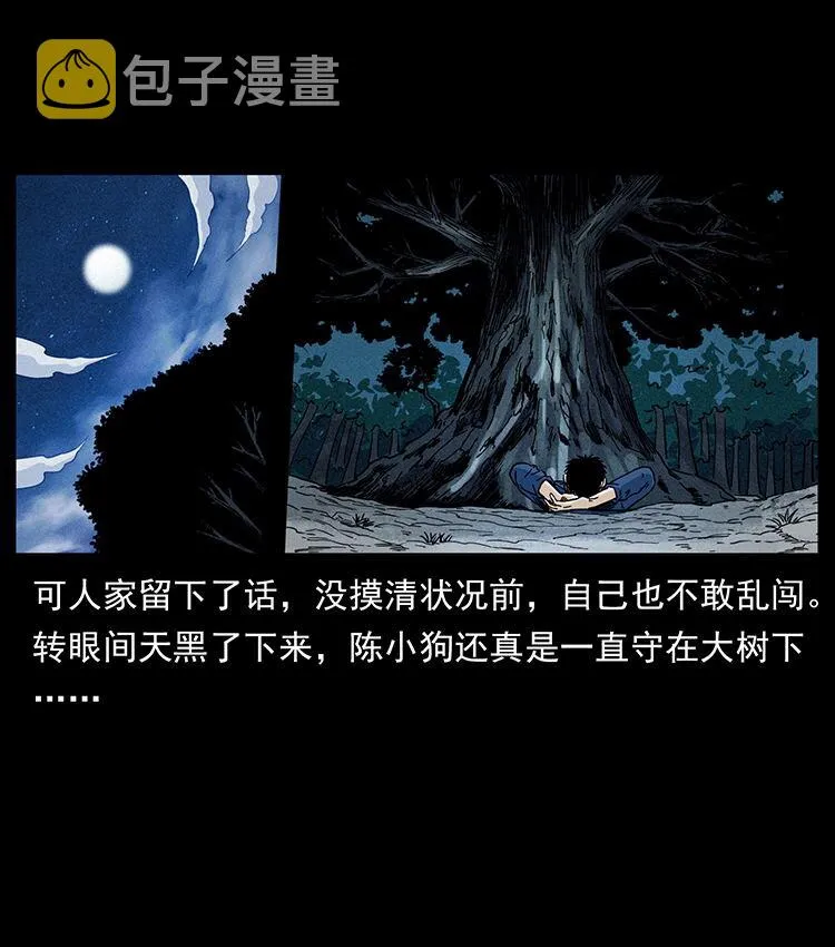 481 树 第36页