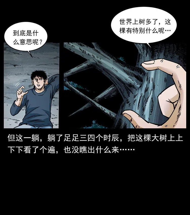 481 树 第37页