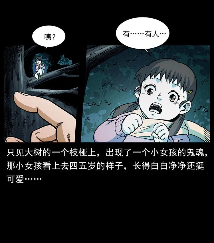 481 树 第39页