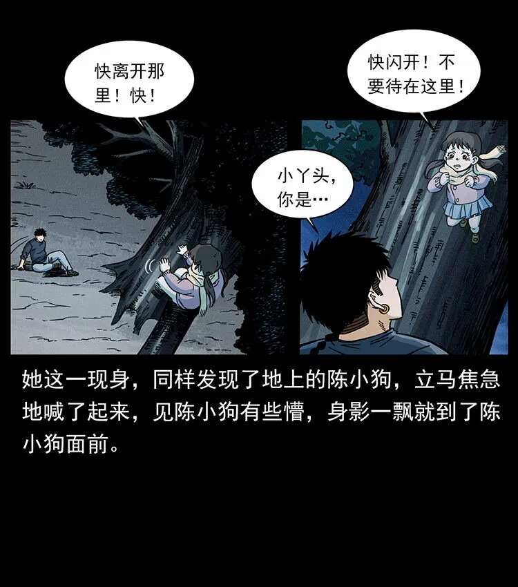 481 树 第40页