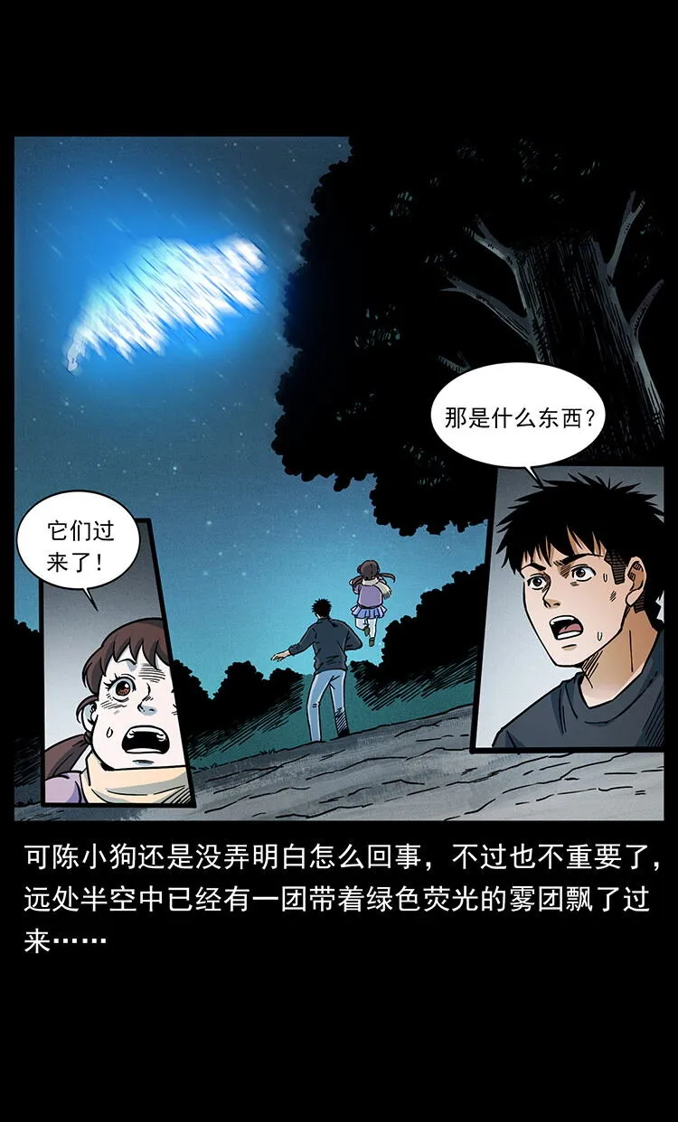 481 树 第41页