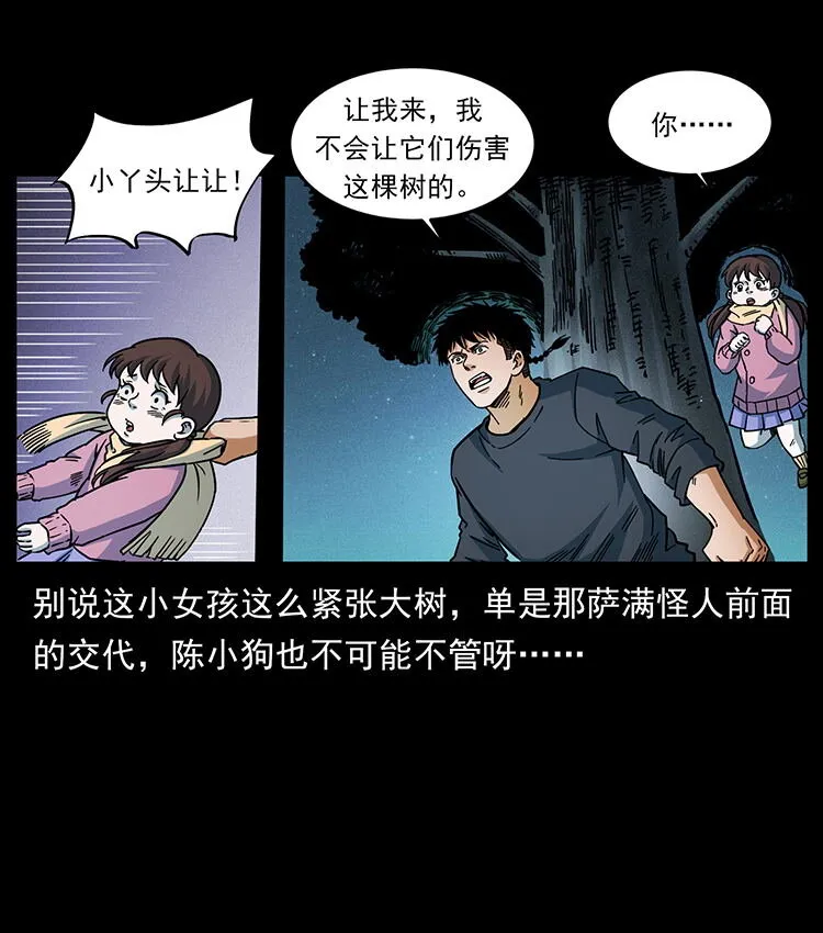 481 树 第43页