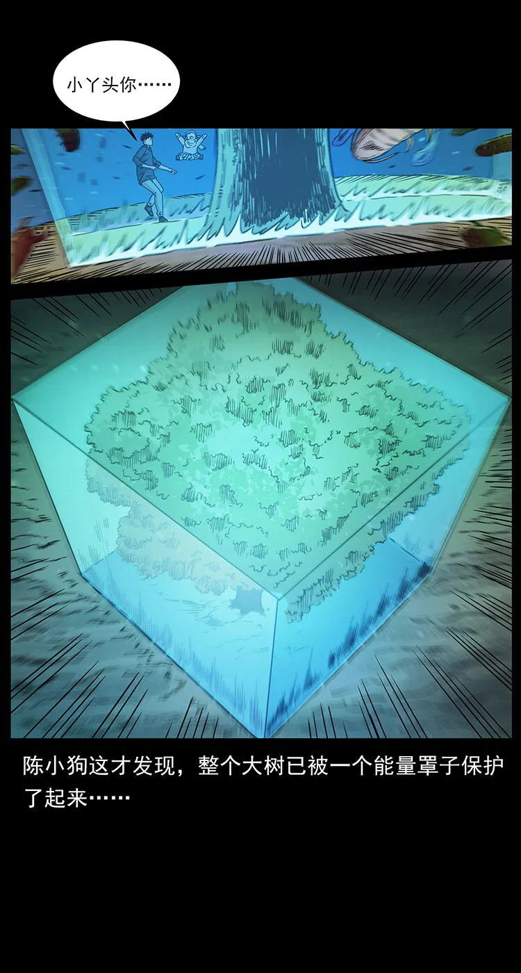481 树 第49页