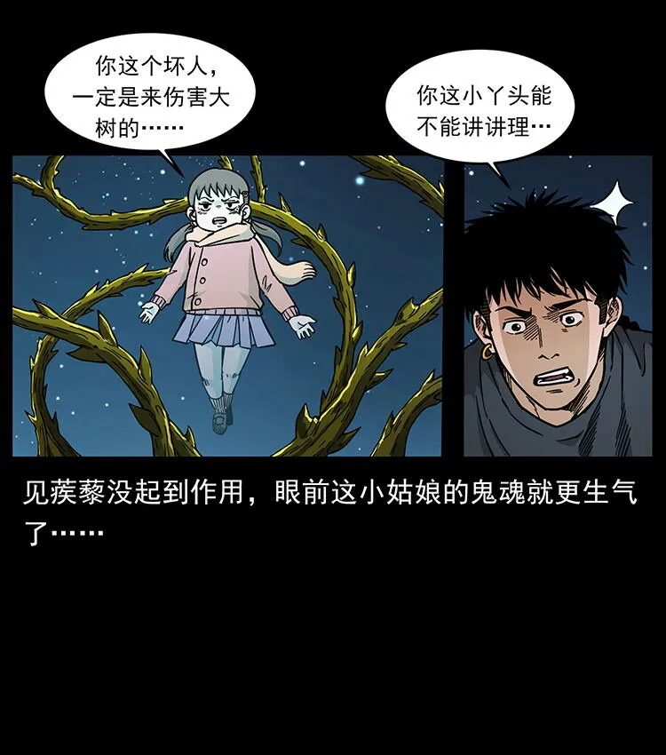 481 树 第58页