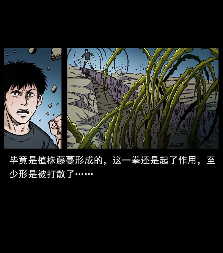481 树 第63页