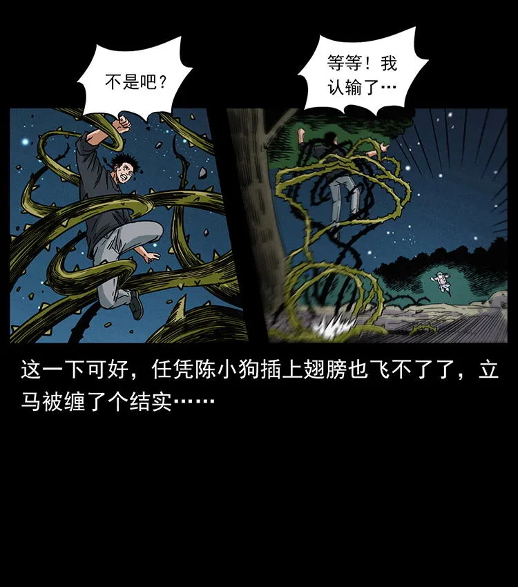 481 树 第66页
